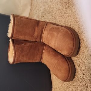 Ugg boots- classic short